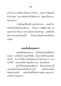 ว2740 แม่พระในบ้าน - Image 14
