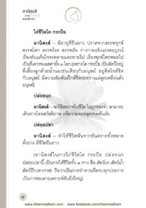 ว2756 อานิสงส์ของการทำบุญแบบต่างๆ - Image 11