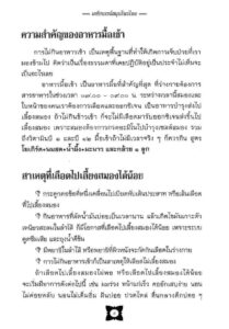 ว2769 มหัศจรรย์สมุนไพรไทย - Image 7